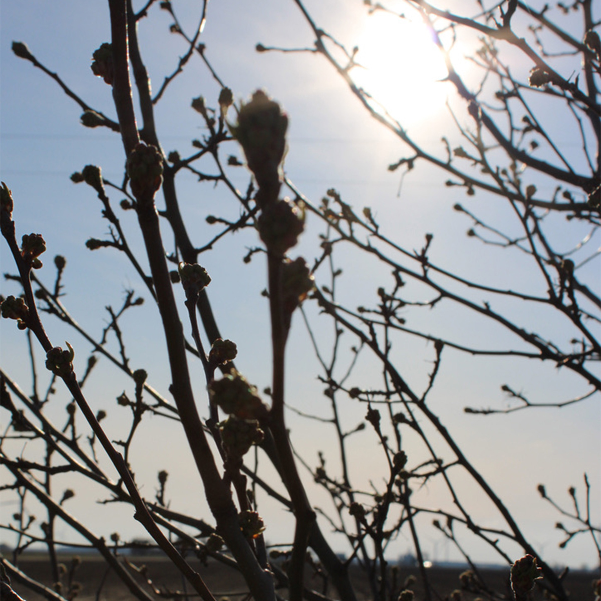 Waiting for God is like waiting for the spring