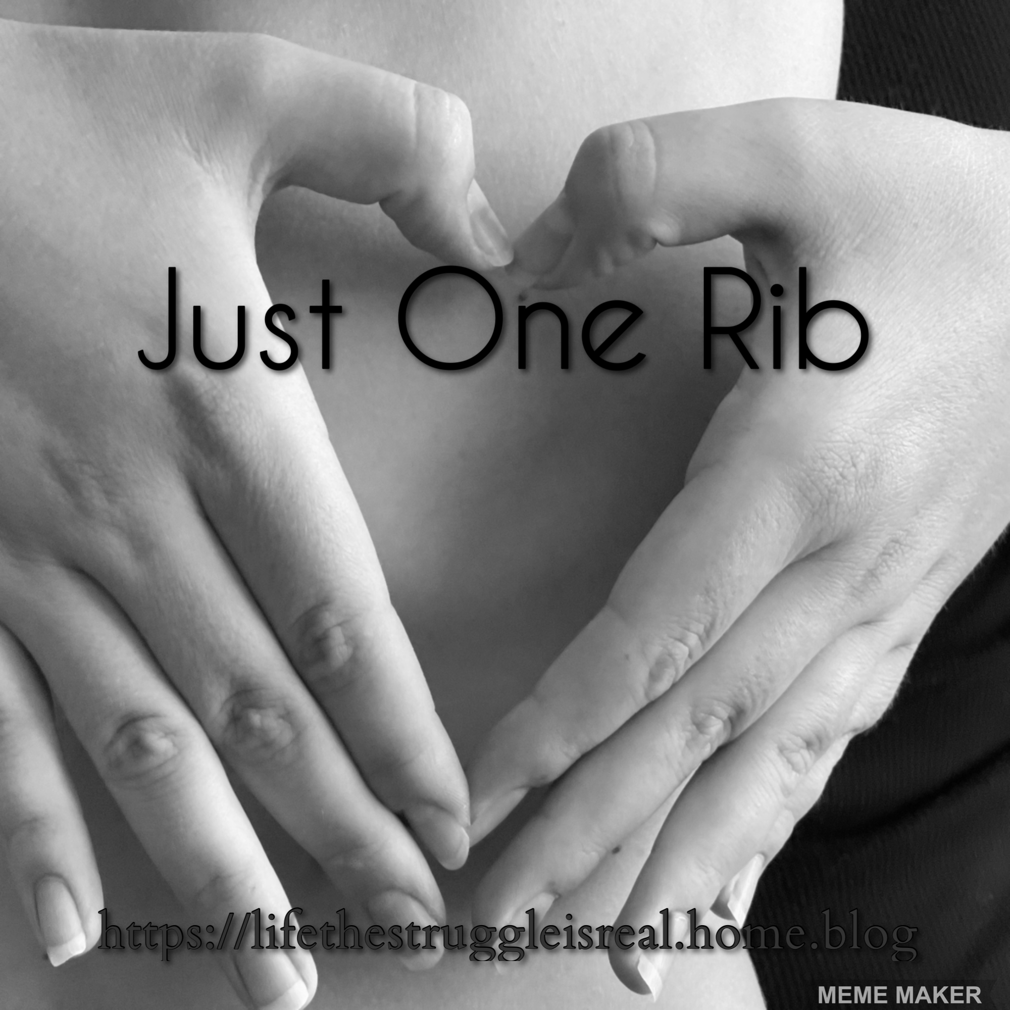 Just One Rib