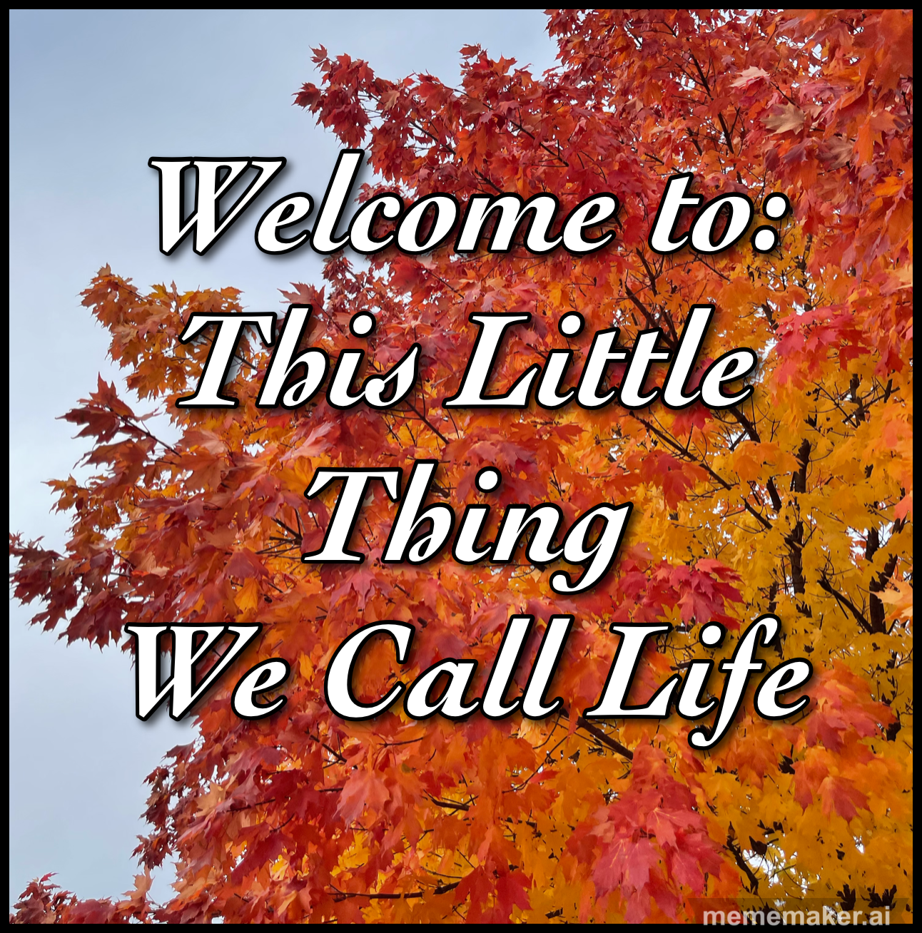 Welcome to: This Little Thing We Call Life