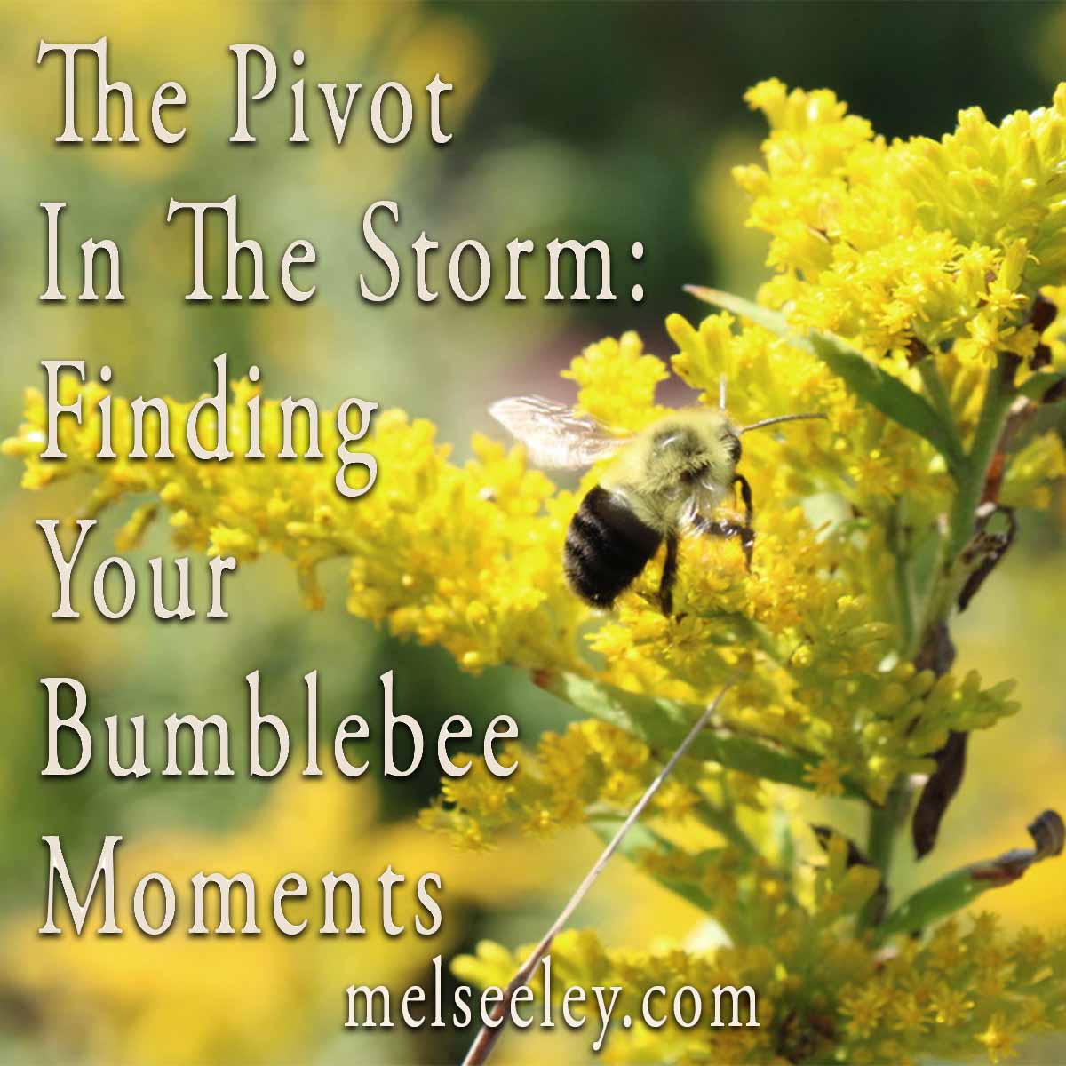 The Pivot In The Storm: Finding Your Bumblebee Moments